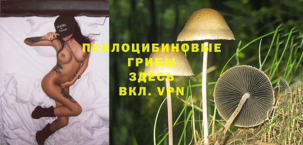 а пвп мука Корсаков