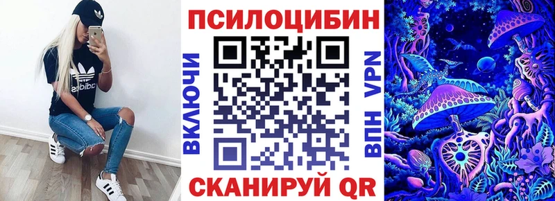 Псилоцибиновые грибы Psilocybe  Новокузнецк 