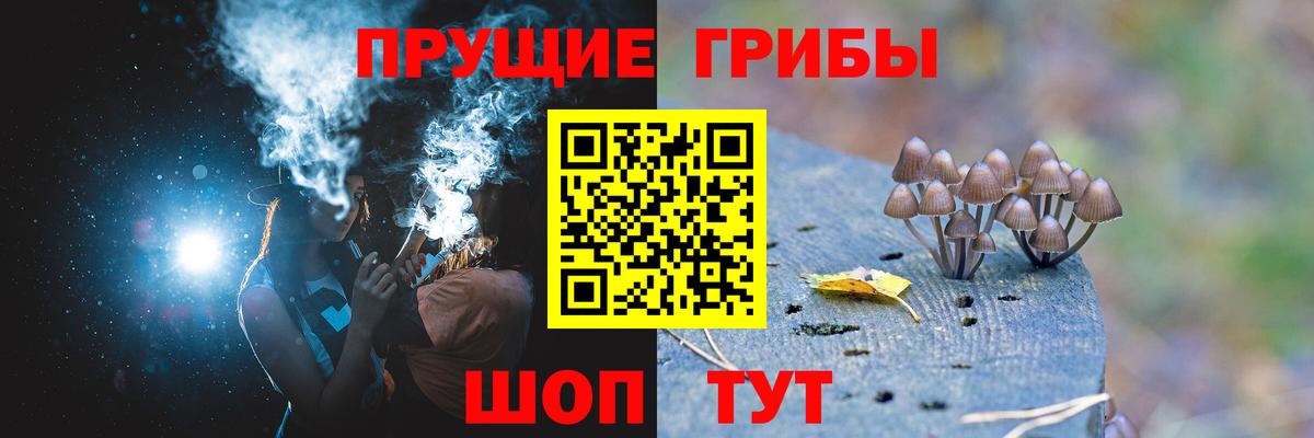 Новокузнецк  Псилоцибиновые грибы Magic Shrooms  Галлюциногенные грибы Psilocybine cubensis  Вход с VPN 